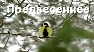 ПРЕДВЕСЕННЕЕ