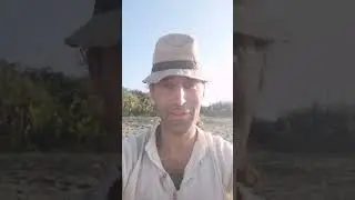 Изменение формата практик.