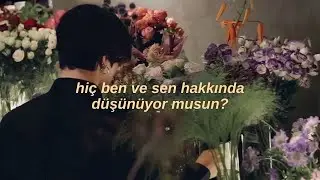 Daya - Montana 🐎 (Turkish Translation)