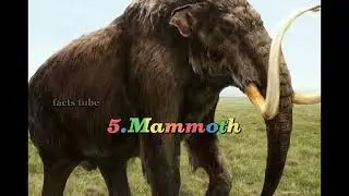 TOP 5 BEST WOOD HARVESTER IN ARK||FACTS TUBE|| #ark #trending
