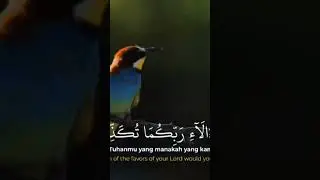 Salim_Bahanan___Surah_Ar-Rahman__The_Beneficent___