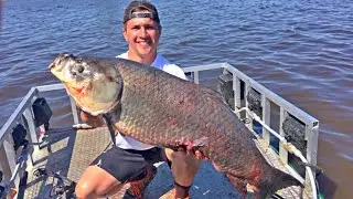 Bow Fishing MONSTER Spawning Buffalo Carp - Castle Rock Lake