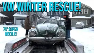 Rescuing A 72’ VW Beetle From The Harsh Canadian Winter! (VW Super Beetle Ep: 1)