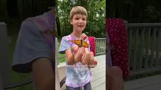 Stella’s Nature Dogumentary Part 1