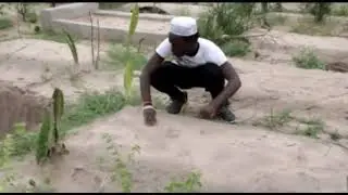 Maisha ya dunian 2