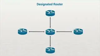 Advanced OSPF Concepts