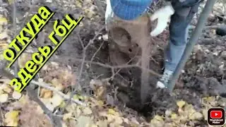 симплекс, лучший металлоискатель в своей цене.