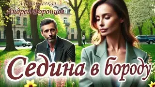 Седина в бороду