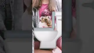 Скібіди Бася🚽😂#shorts