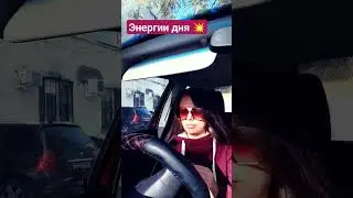 27 ноября 2023 г.