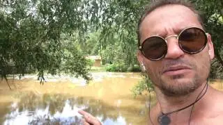 там лилии цветут