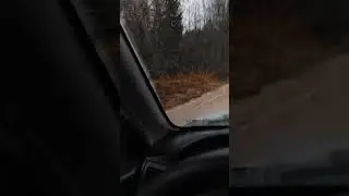 Поворот на Хмельники. д. Папинская.