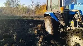 1 ноября 2023 г.