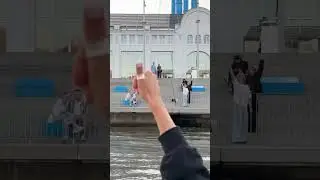 сколько насчитали?😁