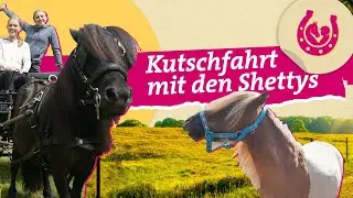 Lia and Lea with the Shetland ponies | My horse summer