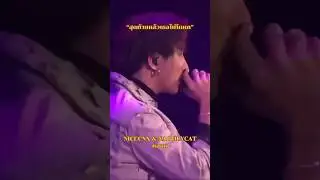 NICECNX NAPOLYCAT หลอก