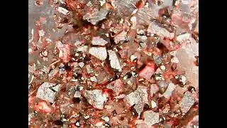 Uranium Red Self Destructs (Real Time) #uranium #sulfur #hydrates #radioactive #radiation