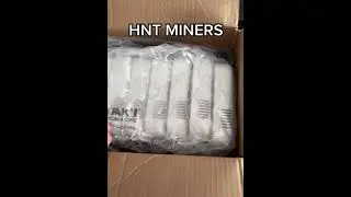 7 HNT MINERS