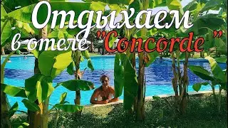 Отдыхаем в отеле Concorde #ТРСК #Турецкаяреспубликасеверногокипра #bafra
