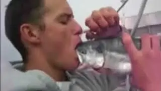 porn
