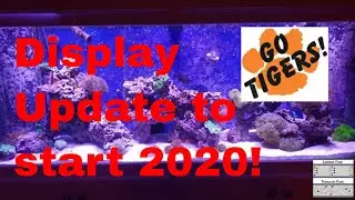 125 gallon reef tank update 1 3 20