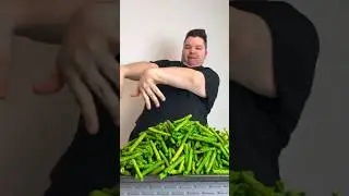 Extremely Spicy Zombie Takis 🤮🔥