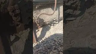 Новости с дачи, чудеса немецкой стройки #германия #дача  #жизньвгермании