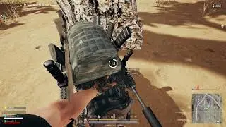 Winner Winner