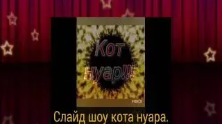Слайд шоу кота нуара.