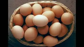 egg part 3 💀😈😈😈🥶🥶🥶💯💯💯💯💀💀💀💀🔥🔥🔥🗣️🗣️🗣️🗣️🔥🔥🔥