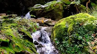물멍은 역시 계곡이 최고, 스트레스 해소 100% 🏞️ 자연소리ASMR, 계곡물소리, 새소리