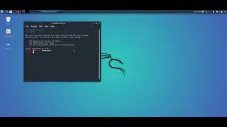How to root access on Kali Linux