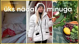 tänavaintekad 🎤, kodused uuendused 🪴 & toidukoolitus 🍒