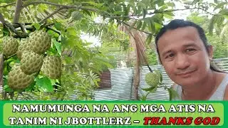 Namumunga na ang mga ATIS na Tanim ni JBOTTLERZ