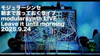 I Left My Modular Synth Alone All Night - Sep 24, 2025.