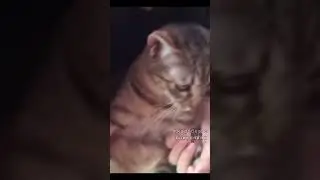 Если друг оказался вдруг ? ! Ч .1 🥲