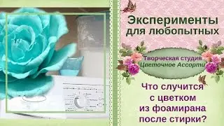 ►Эксперимент с цветами из фоамирана �Что будет с цветком из фоамирана, если его постирать�
