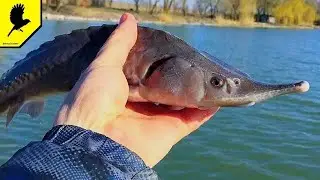 Рыбалка 