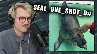 Dubstep Seal