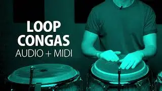 Loop Congas Merengue 1 | Audio + Midi | BPM 85 | GRATIS | MEGA