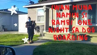 IWAN MUNA NAMIN SI BAMBI ISANG GABI SA DOG BOARDING/VIC’S ROUTINE