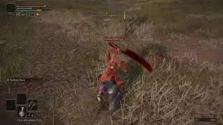 Elden Ring - no hitting bug?