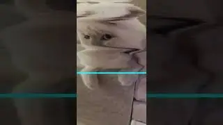 12 марта 2023 г.