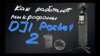 Как работают микрофоны DJI Pocket 2