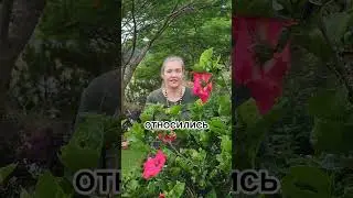 Чистка от равнодушия 