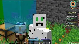 Hypixel Skyblock - 2 Billion Carrots