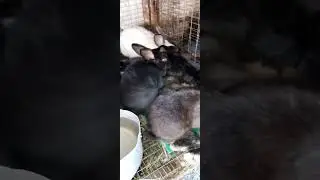 Тихий час.