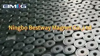 Pot magnets NA Serious