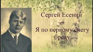 #стихи