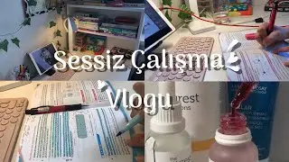 sessiz çalışma vlogu 💗